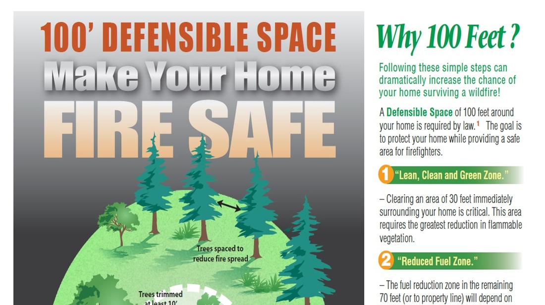 The Best Fire-Resistant Trees to Plant for Defensible Space